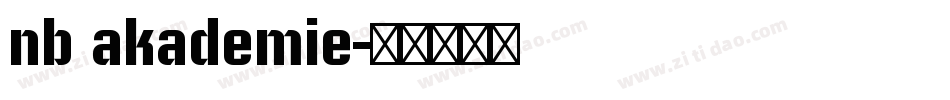 nb akademie字体转换